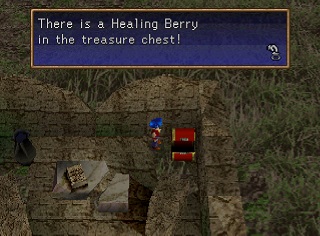 Healing Berry in chest