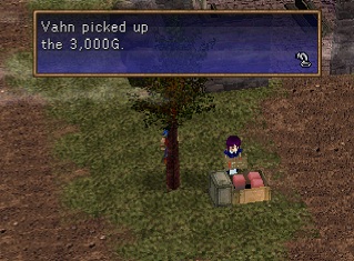3000g on the ground